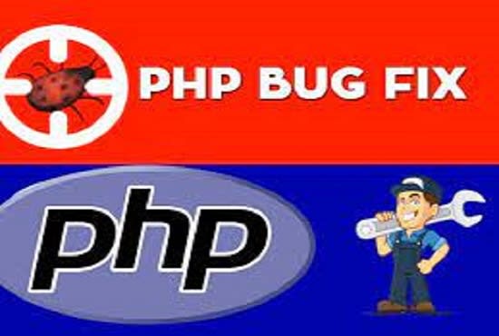 fix and debug wordpress error and issues within 1 hour