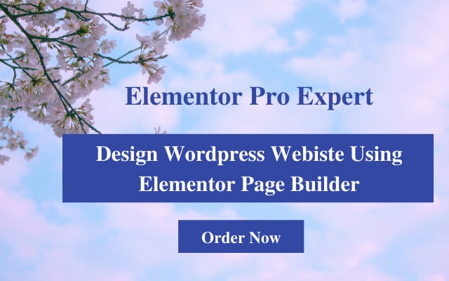 be wordpress elementor woocommerce ecommerce website design expert