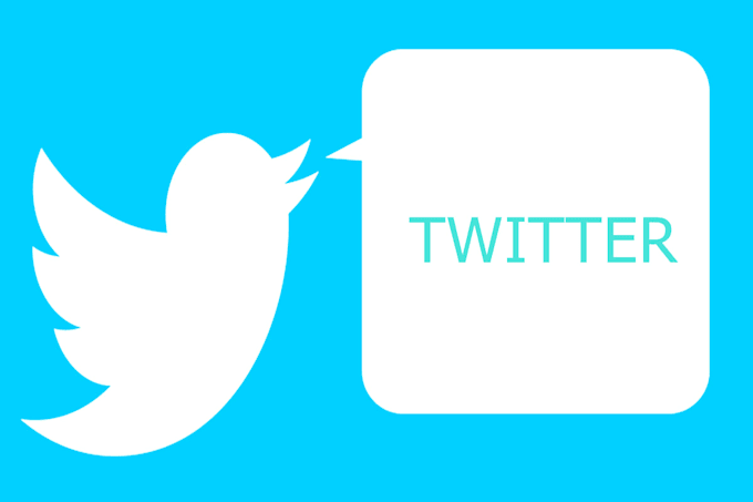 set up your twitter ads campaign and organic promotion