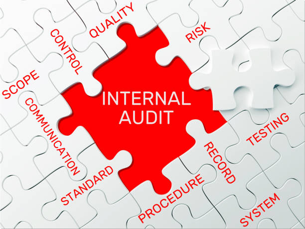 do internal and external auditing, compliance, and risk management