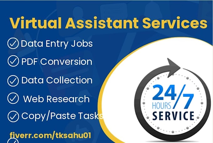 be your virtual assistant for data entry task