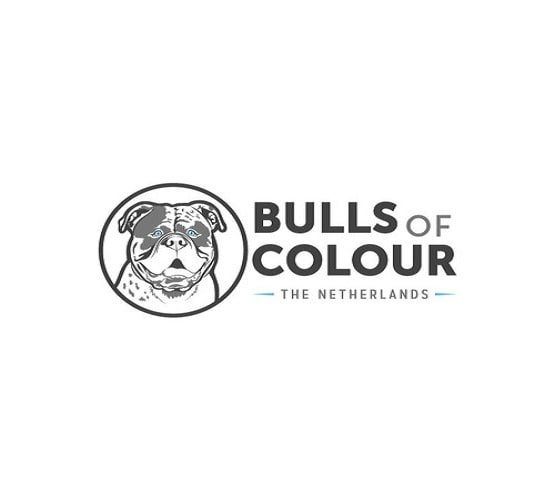 create a kind looking bulldog logo