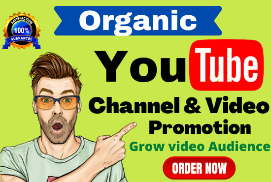Hire a freelancer to do organic promote youtube video promotion and marketing