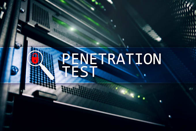 perform penetration testing for web applications, apis etc