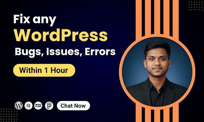 fix wordpress issues, fix wordpress errors or bug