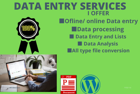 do offline and online data entry job