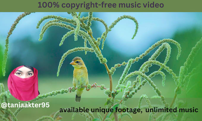 create exclusive HD meditation relaxing music videos