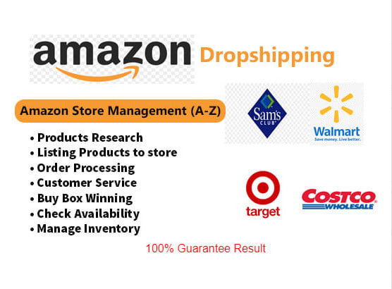 your expert VA for amazon dropshipping store management