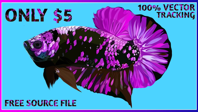 make your betta fish a vector in 12 hours