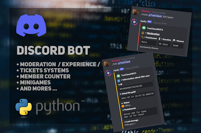 Create a custom discord bot for your server by Nilsllx | Fiverr