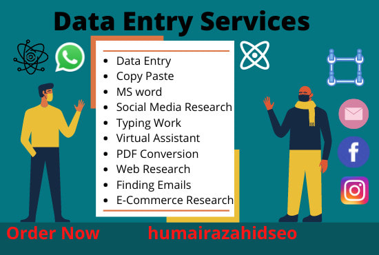 be your personal VA and perform data entry task for you