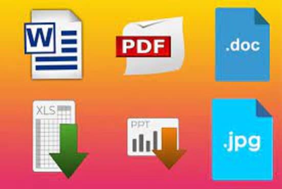 Convert pdf to word by Kanagalakshmik Fiverr