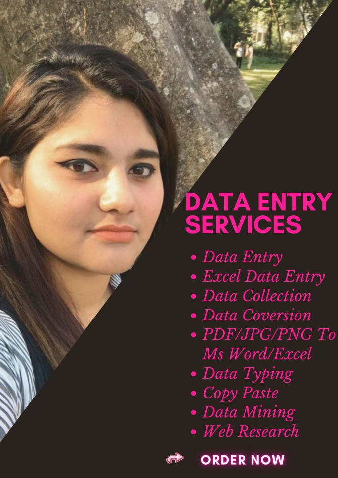 Do Data Entry Copy Paste Typing Excel Data Entry Web Research Job By Bushrachy Fiverr 2176