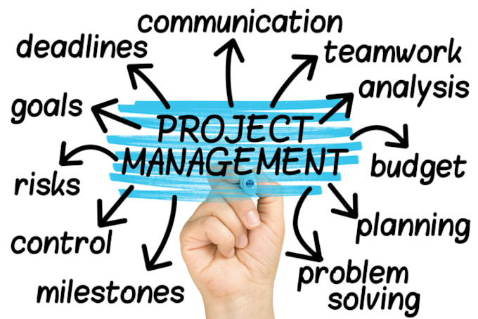 I will do your project management