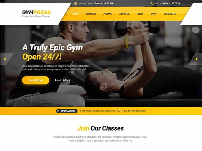 design attractive fitness, gym, workout wordpress website