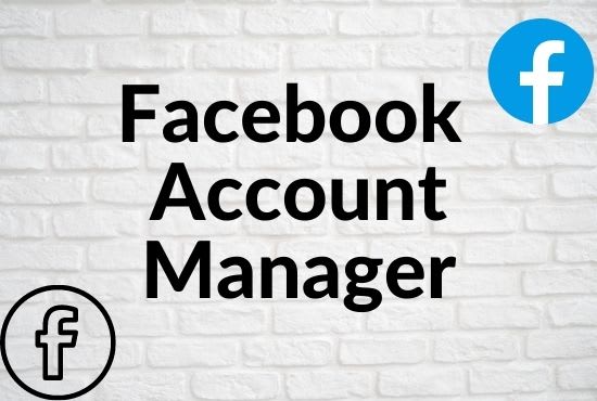 be a personal facebook account manager