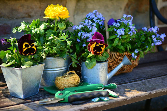 write engaging articles or blog posts about gardening