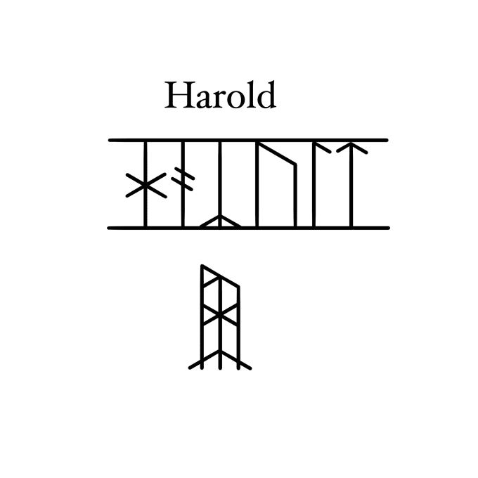 Translate your name into old norse runes and make you a bindrune by Harry_cwood Fiverr