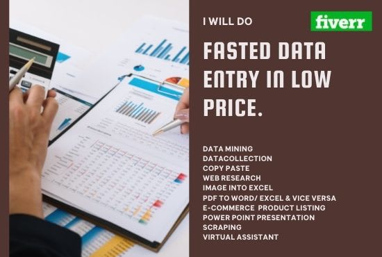 do fastest data entry in low price