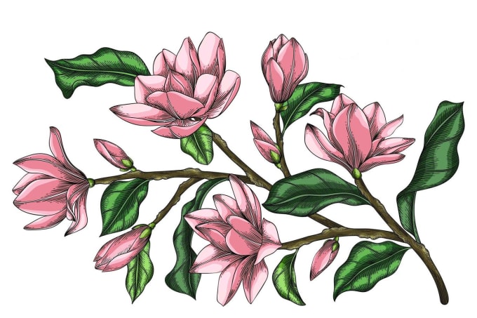 Download Design watercolor botanical photography skin beauty logo ...