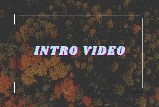 create a world class intro video for you