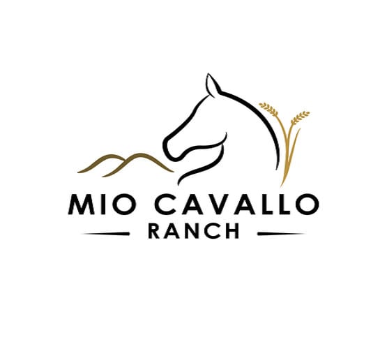 design family ranch logo