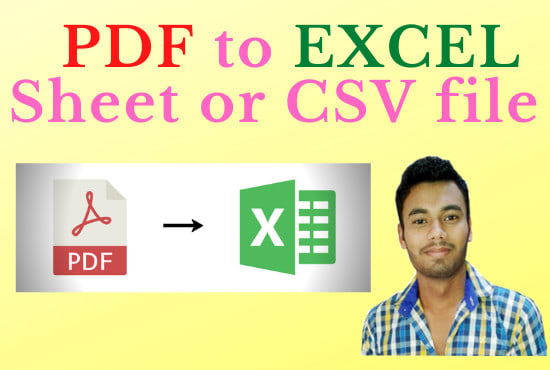 Convert pdf to excel or csv by Papansam | Fiverr