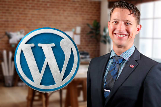 do custom updates for your wordpress website