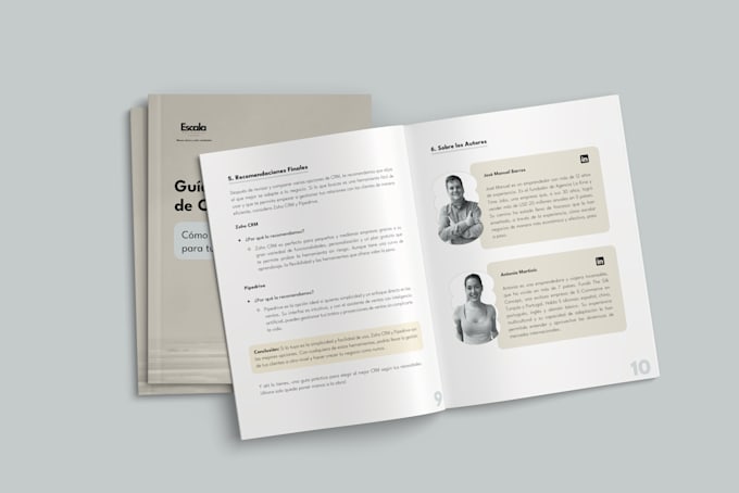 design a high end ebook, lead magnet, guide or workbook PDF
