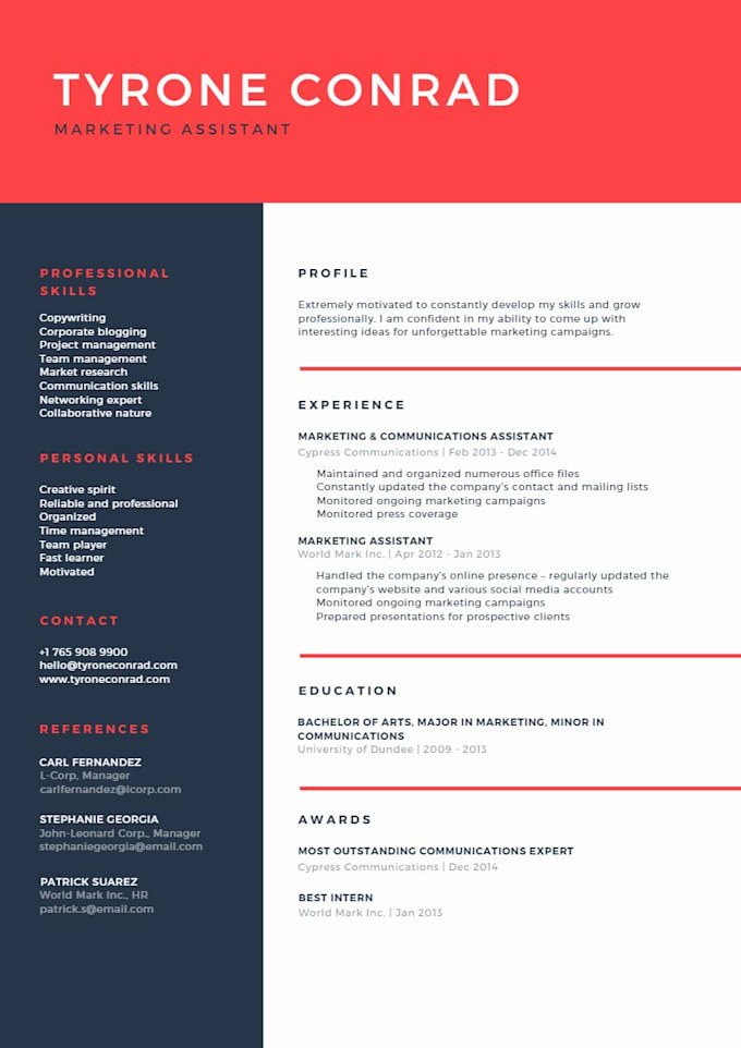provide a professional CV writing and editing