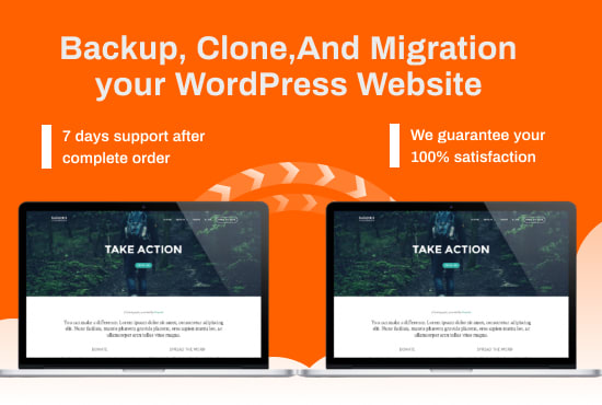transfer, migrate, duplicate or backup wordpress site in 1hr