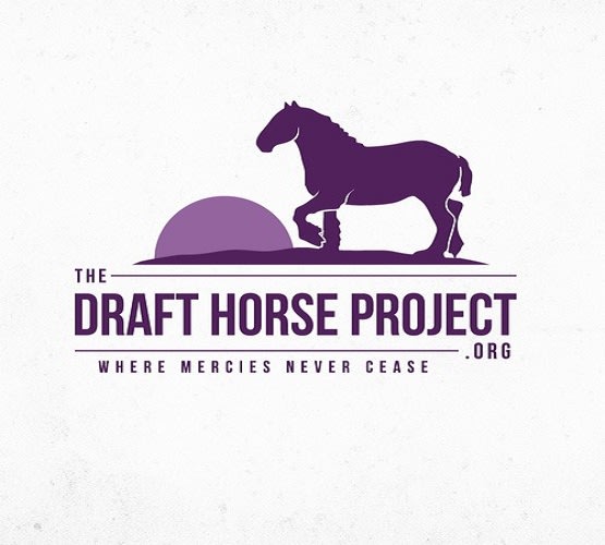 create a compelling logo