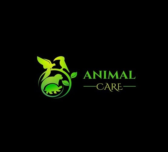 design a high impact logo
