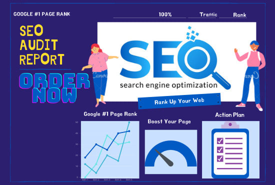 provide usability testing, web report ,SEO audit report with action plans