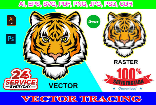 Vector tracing, raster to vector, vector art, image to vector, vector
