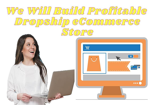 build profitable dropshipping website