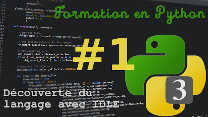 Apprendre dans la programmation en langage python by Jeanlucdoh | Fiverr