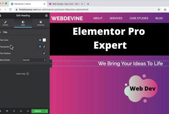 design redesign super fast elementor website with hello elementor or astra