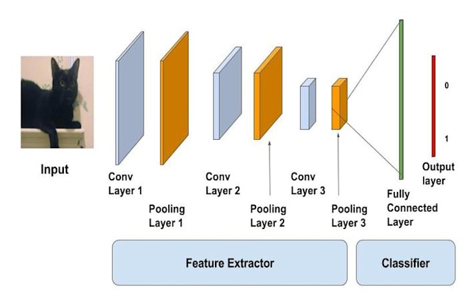 Do image classification using pytorch or tensorflow by Faizanhsiddiqui ...