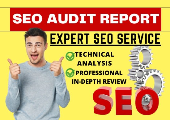 provide you advance seo audit report