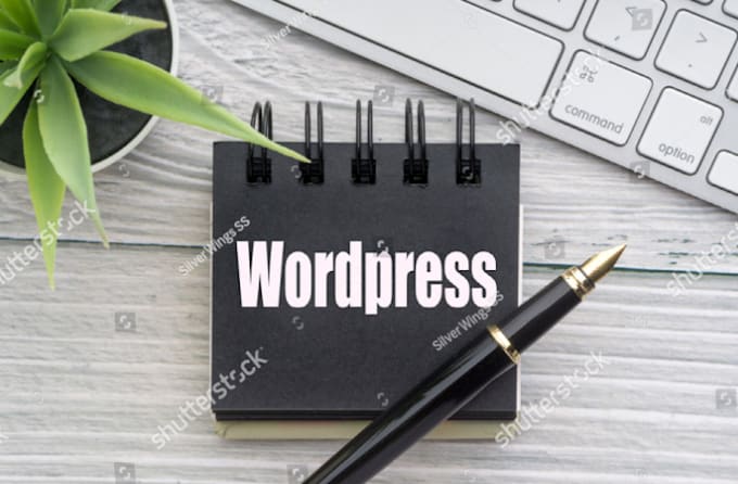 design and build a word press website