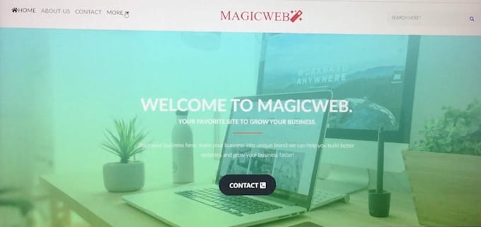 provide best service for your website development