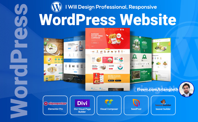 create a professional wordpress website for your business