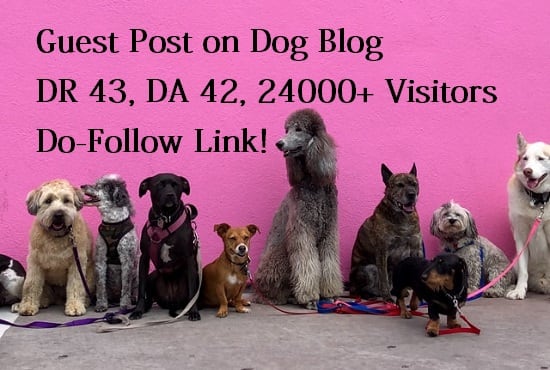 do a guest post on the pet blog