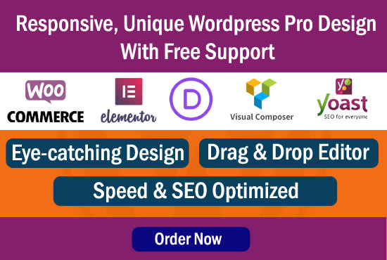 build a responsive wordpress website design or customize