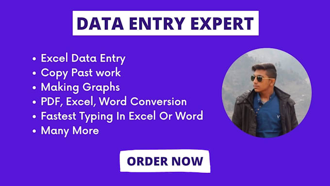 do accurate data entry copy paste, data entry using excel