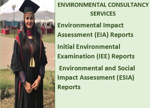 provide consultancy services in environmental impact assesment reports