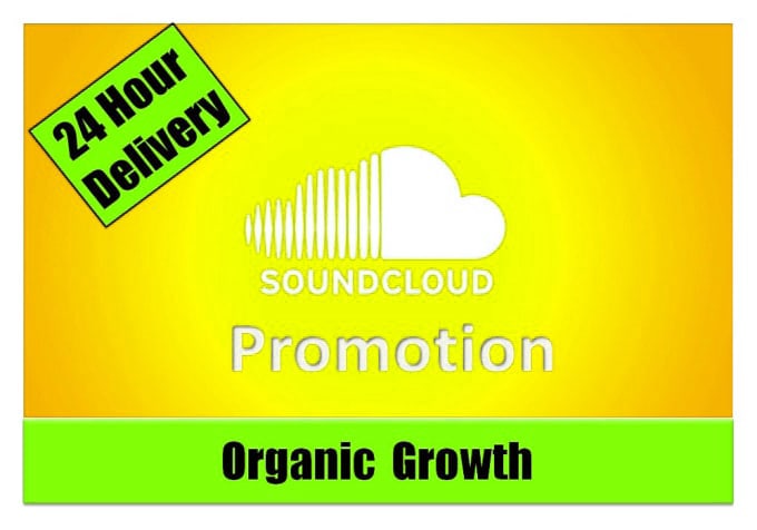 professionally grow your instagram page organically
