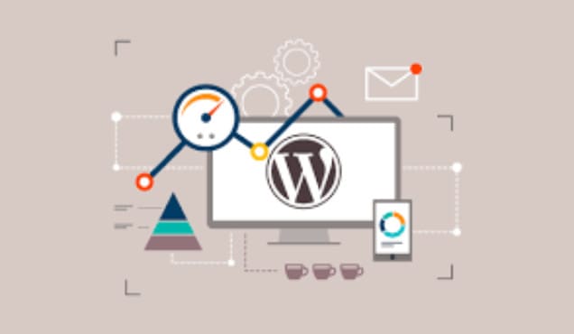 maintain wordpress, drupal, magento, shopify website