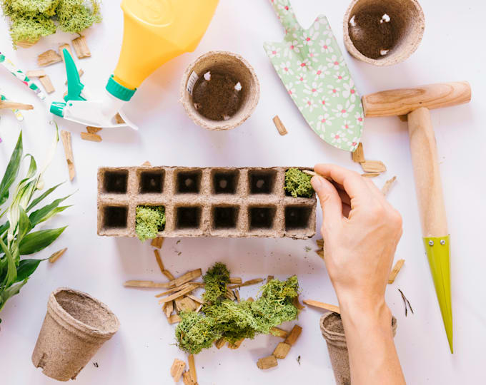 write holistic book for herbs, shrubs, fruits or microgreens